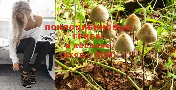 стафф Зеленодольск
